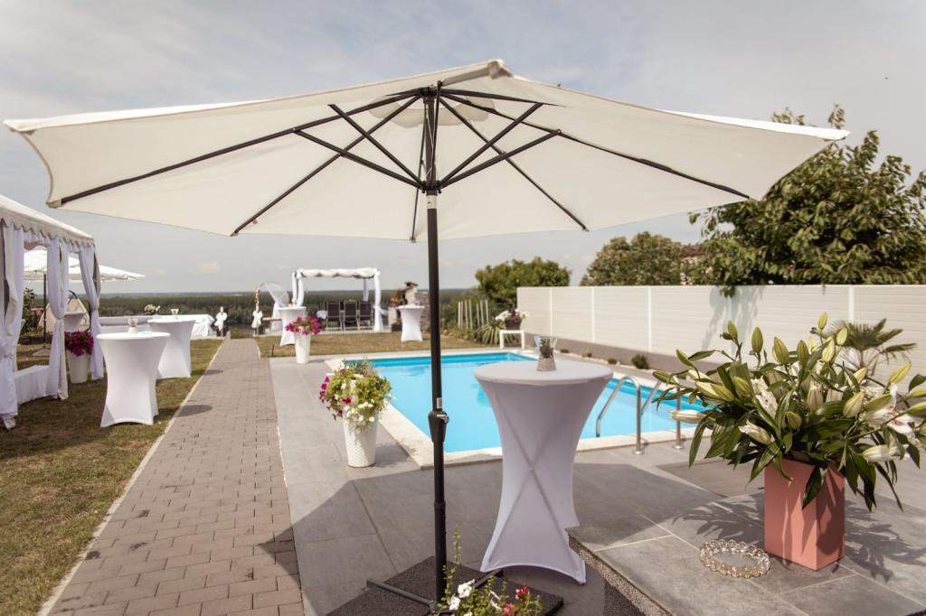 Dvorište - Apartmani 'Dunavski san' ****